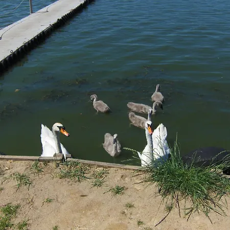 Rusalka Nad Jeziorem Vakantiehuis Rudno (Wolsztyn)