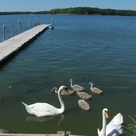 Rusalka Nad Jeziorem