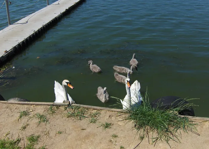 Rusalka Nad Jeziorem Vakantiehuis Rudno (Wolsztyn)