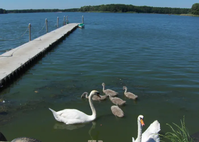 Rusalka Nad Jeziorem