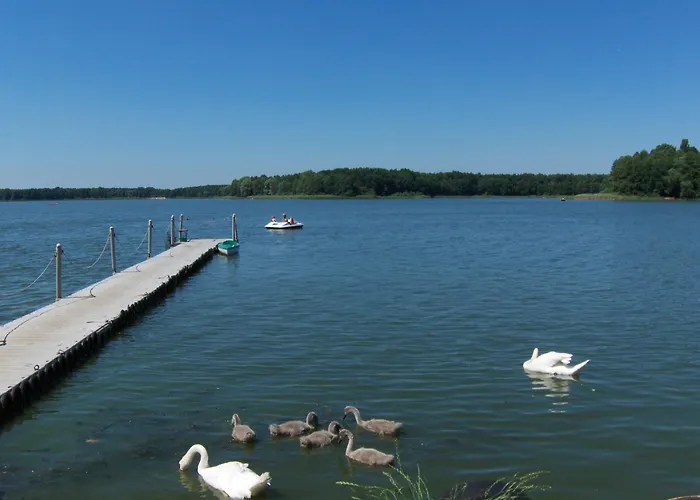 Rusalka Nad Jeziorem Rudno (Wolsztyn)
